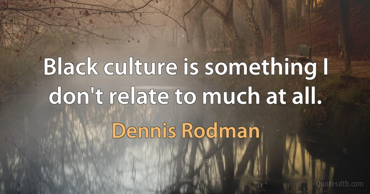 Black culture is something I don't relate to much at all. (Dennis Rodman)