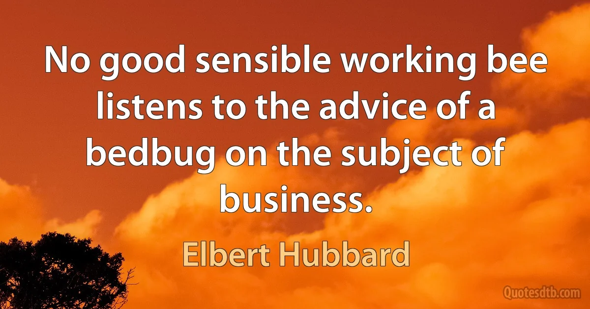 No good sensible working bee listens to the advice of a bedbug on the subject of business. (Elbert Hubbard)