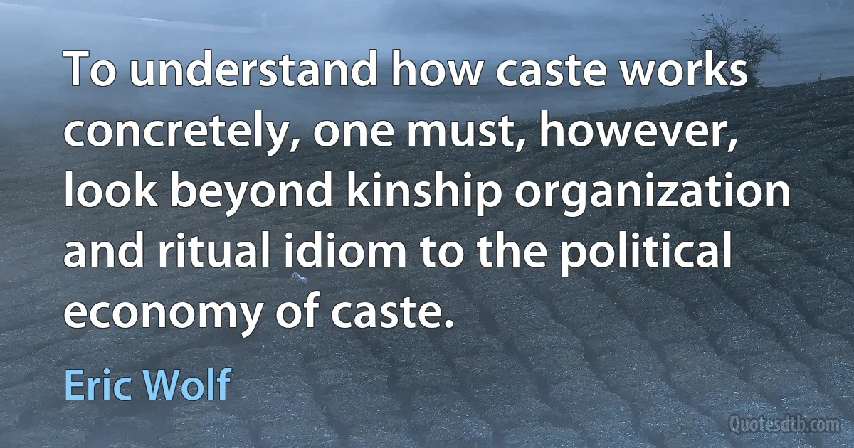 To understand how caste works concretely, one must, however, look beyond kinship organization and ritual idiom to the political economy of caste. (Eric Wolf)