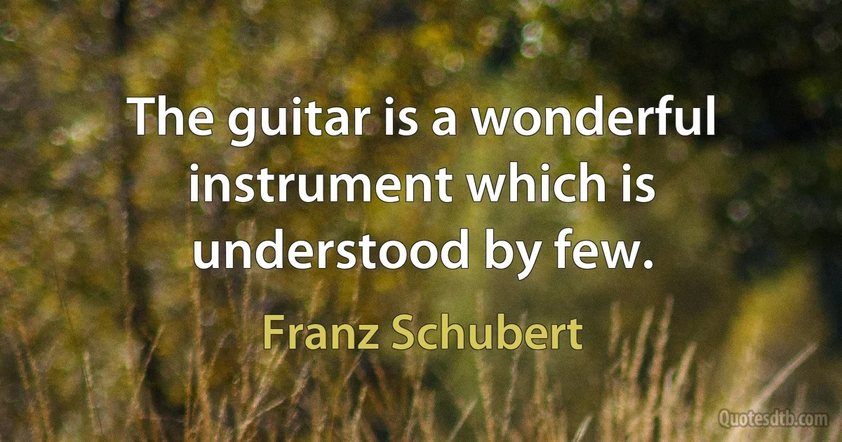 The guitar is a wonderful instrument which is understood by few. (Franz Schubert)