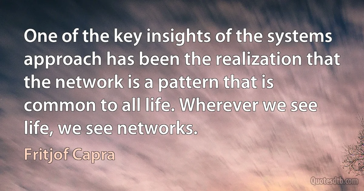 One of the key insights of the systems approach has been the realization that the network is a pattern that is common to all life. Wherever we see life, we see networks. (Fritjof Capra)