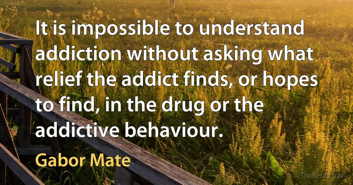 It is impossible to understand addiction without asking what relief the addict finds, or hopes to find, in the drug or the addictive behaviour. (Gabor Mate)