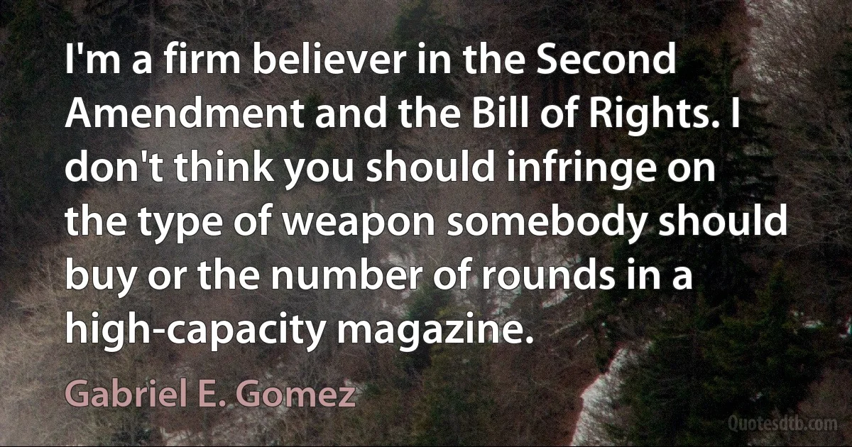 I'm a firm believer in the Second Amendment and the Bill of Rights. I don't think you should infringe on the type of weapon somebody should buy or the number of rounds in a high-capacity magazine. (Gabriel E. Gomez)