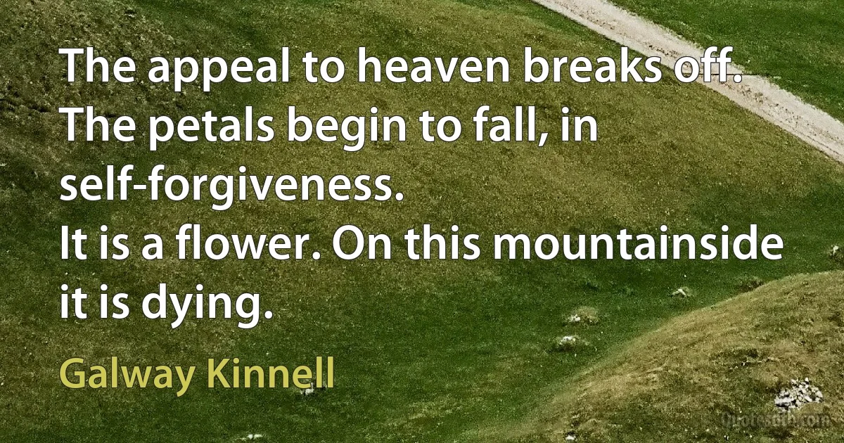 The appeal to heaven breaks off.
The petals begin to fall, in self-forgiveness.
It is a flower. On this mountainside it is dying. (Galway Kinnell)