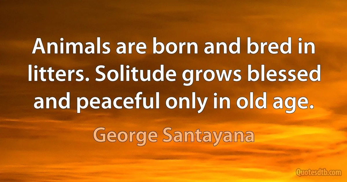 Animals are born and bred in litters. Solitude grows blessed and peaceful only in old age. (George Santayana)