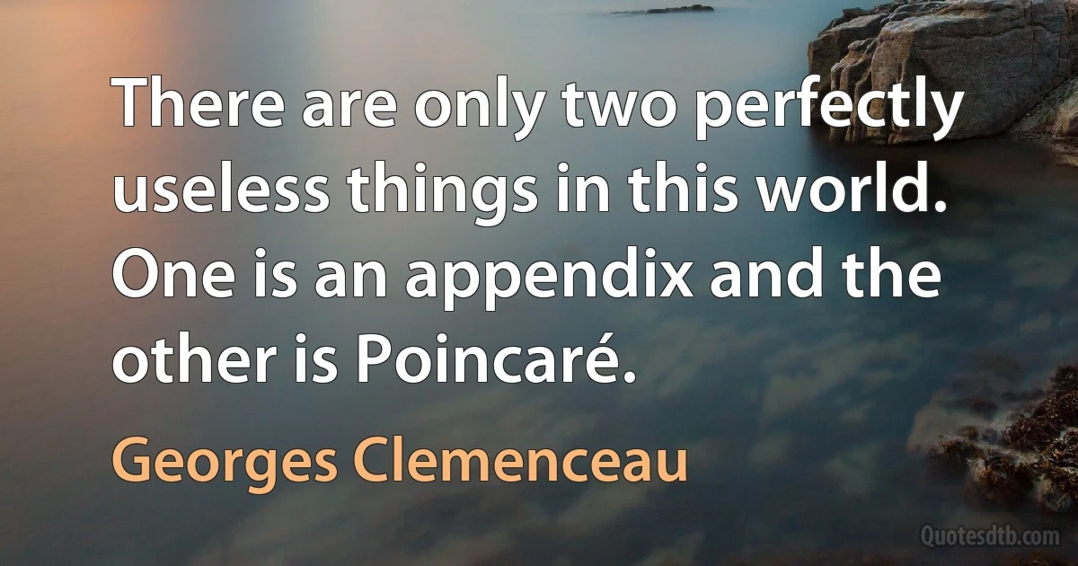 There are only two perfectly useless things in this world. One is an appendix and the other is Poincaré. (Georges Clemenceau)