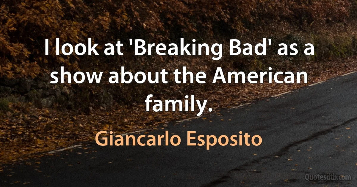 I look at 'Breaking Bad' as a show about the American family. (Giancarlo Esposito)