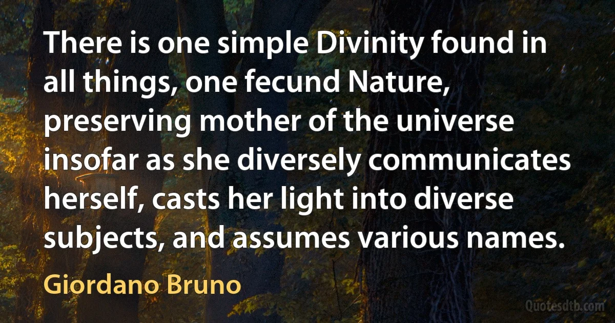 There is one simple Divinity found in all things, one fecund Nature, preserving mother of the universe insofar as she diversely communicates herself, casts her light into diverse subjects, and assumes various names. (Giordano Bruno)