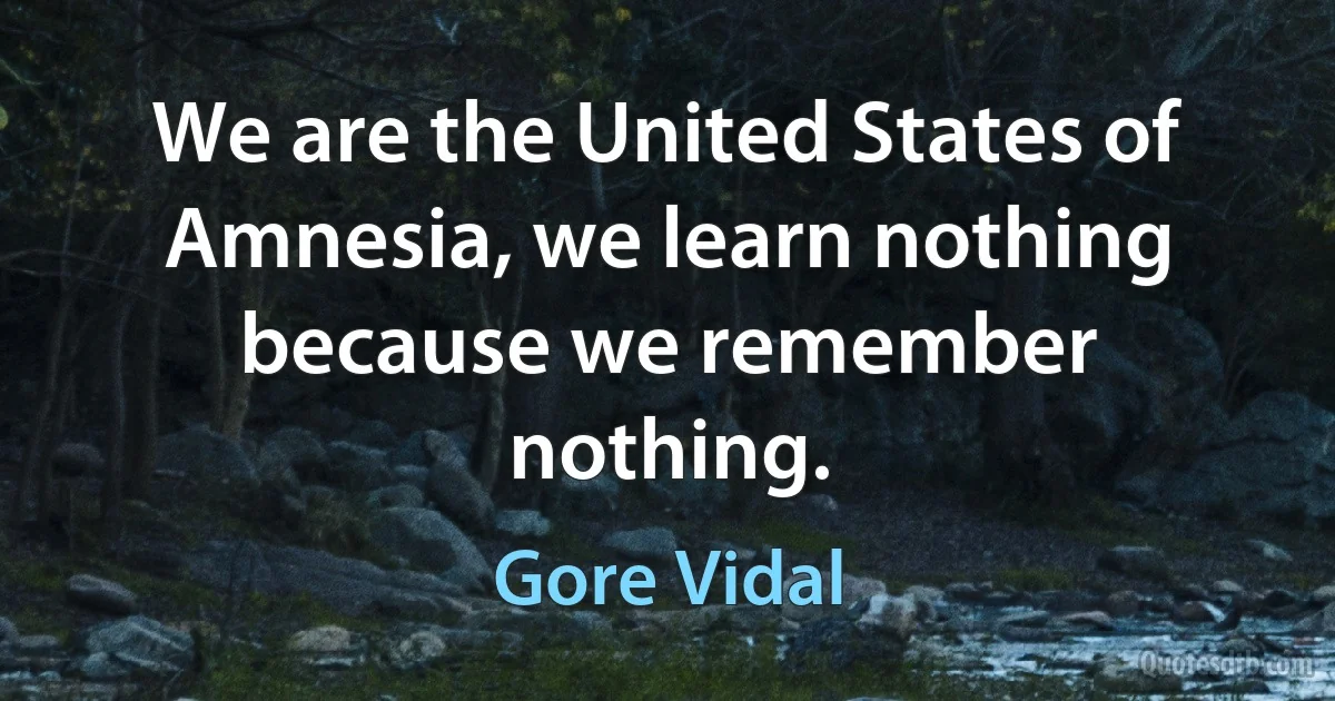 We are the United States of Amnesia, we learn nothing because we remember nothing. (Gore Vidal)