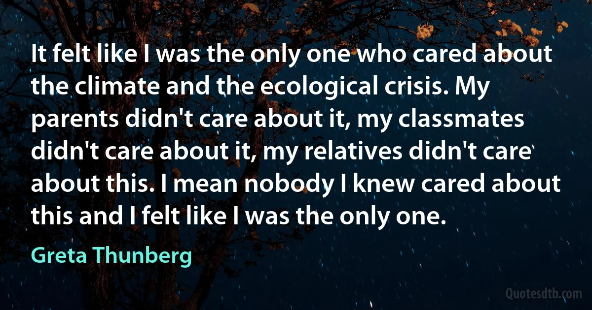 It felt like I was the only one who cared about the climate and the ecological crisis. My parents didn't care about it, my classmates didn't care about it, my relatives didn't care about this. I mean nobody I knew cared about this and I felt like I was the only one. (Greta Thunberg)