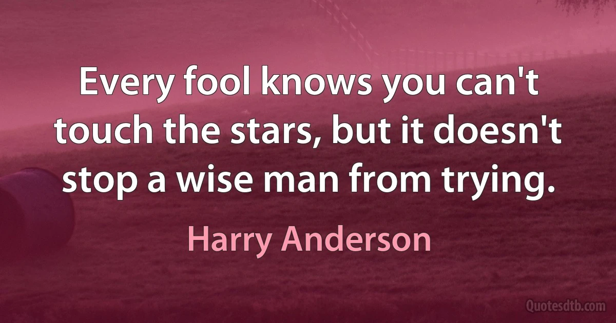 Every fool knows you can't touch the stars, but it doesn't stop a wise man from trying. (Harry Anderson)