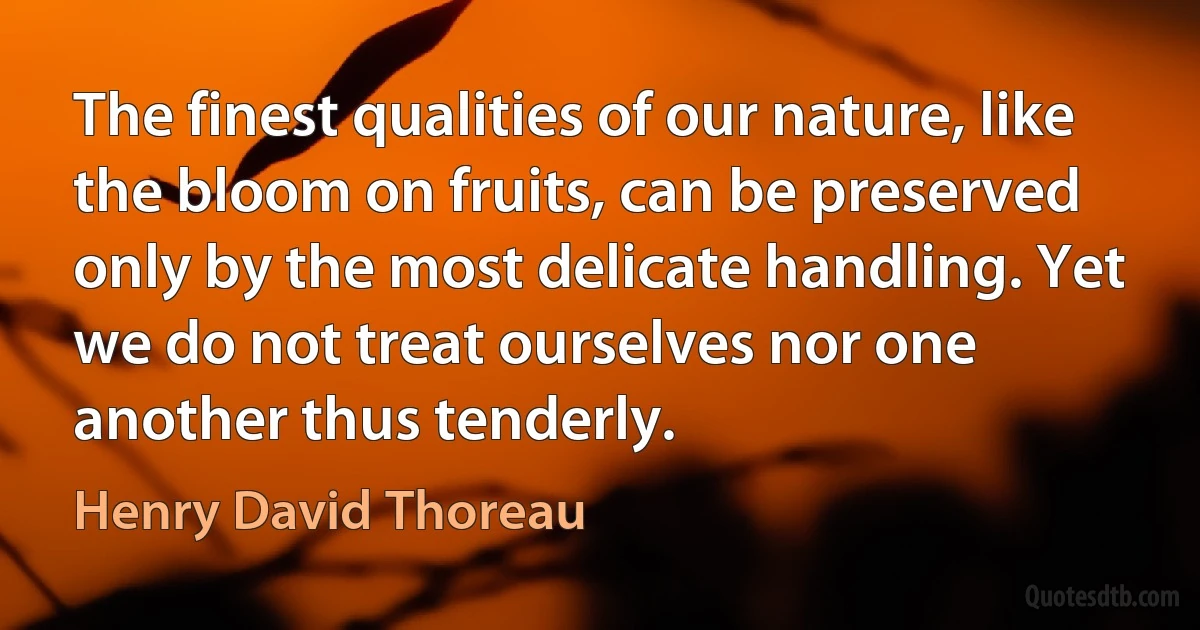 The finest qualities of our nature, like the bloom on fruits, can be preserved only by the most delicate handling. Yet we do not treat ourselves nor one another thus tenderly. (Henry David Thoreau)