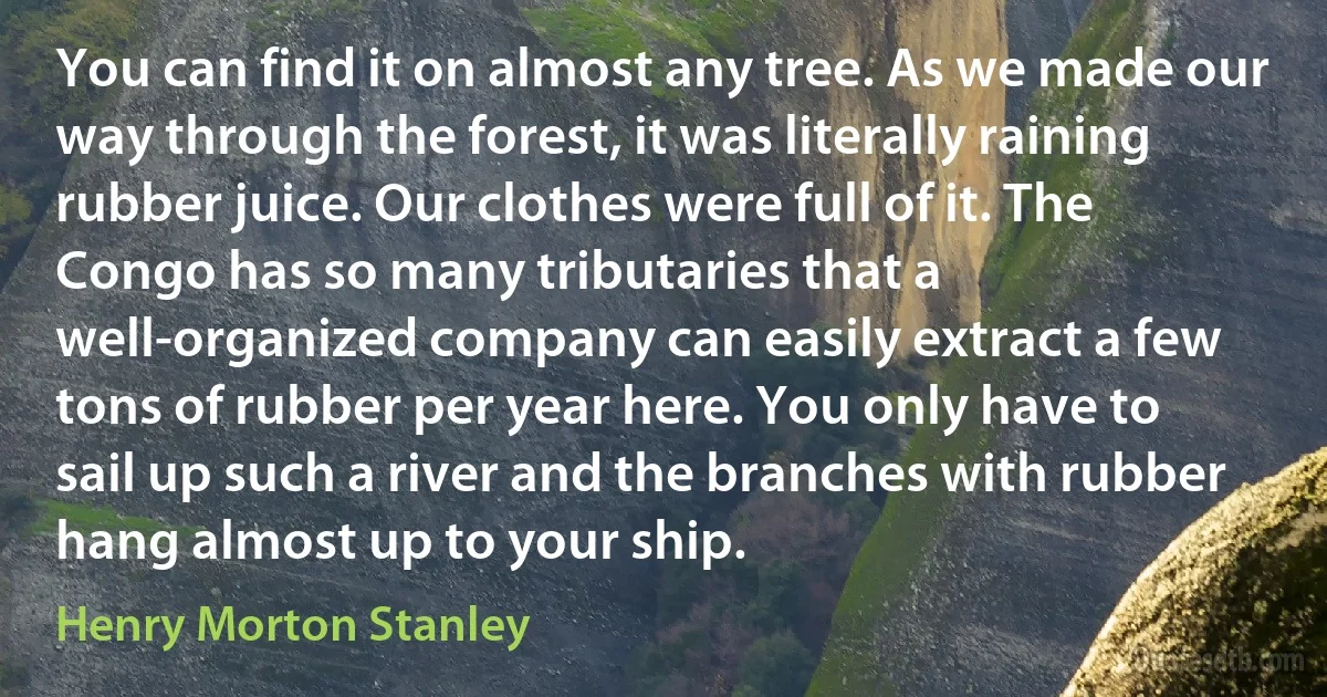 You can find it on almost any tree. As we made our way through the forest, it was literally raining rubber juice. Our clothes were full of it. The Congo has so many tributaries that a well-organized company can easily extract a few tons of rubber per year here. You only have to sail up such a river and the branches with rubber hang almost up to your ship. (Henry Morton Stanley)