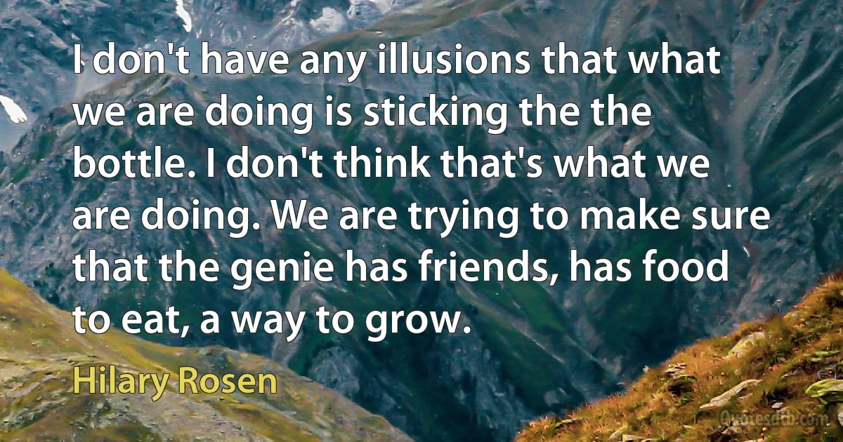 I don't have any illusions that what we are doing is sticking the the bottle. I don't think that's what we are doing. We are trying to make sure that the genie has friends, has food to eat, a way to grow. (Hilary Rosen)