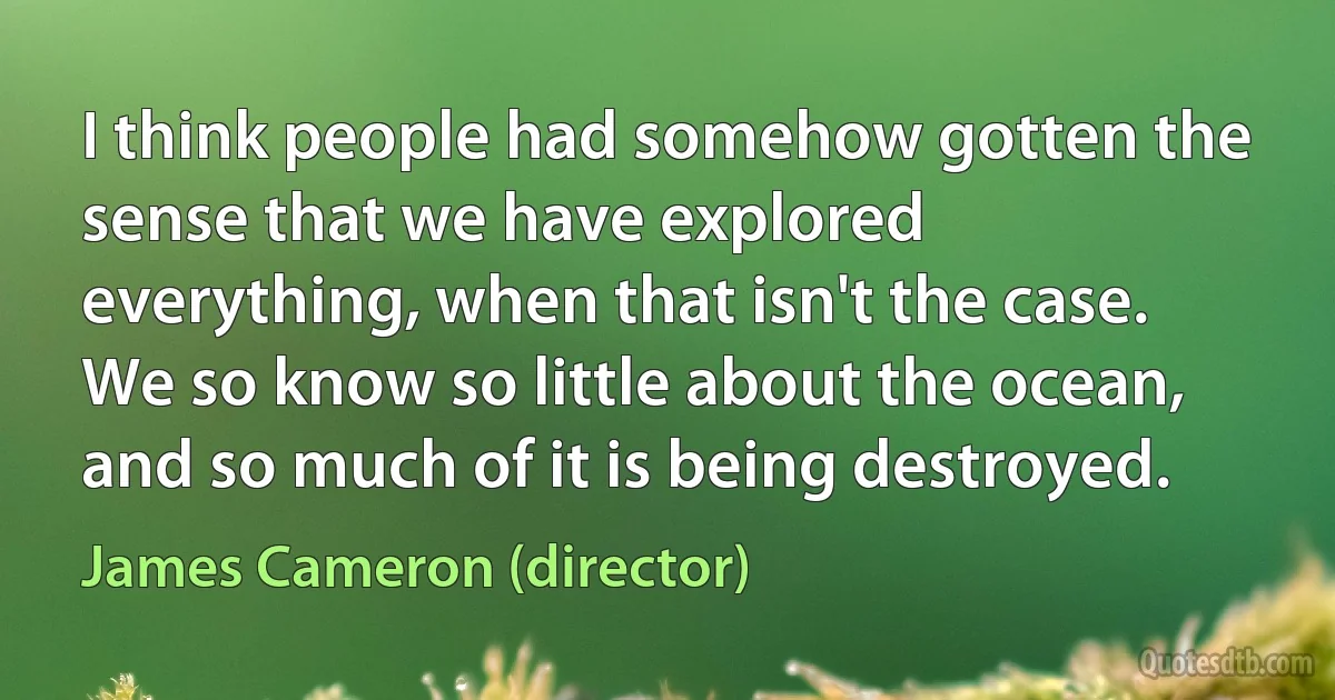 I think people had somehow gotten the sense that we have explored everything, when that isn't the case. We so know so little about the ocean, and so much of it is being destroyed. (James Cameron (director))