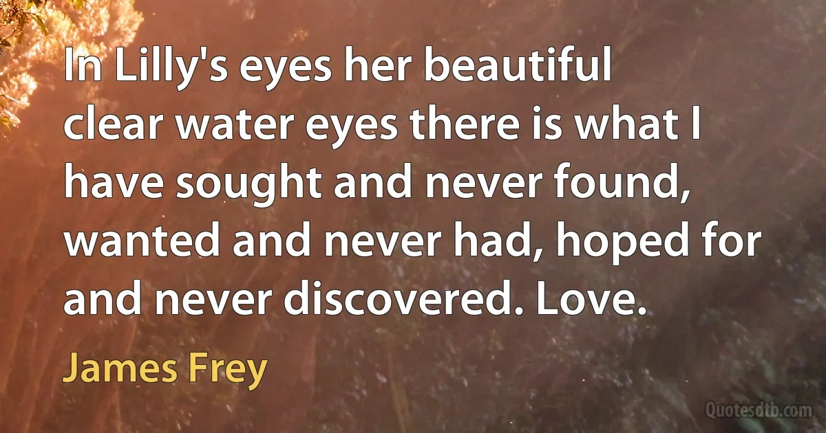 In Lilly's eyes her beautiful clear water eyes there is what I have sought and never found, wanted and never had, hoped for and never discovered. Love. (James Frey)