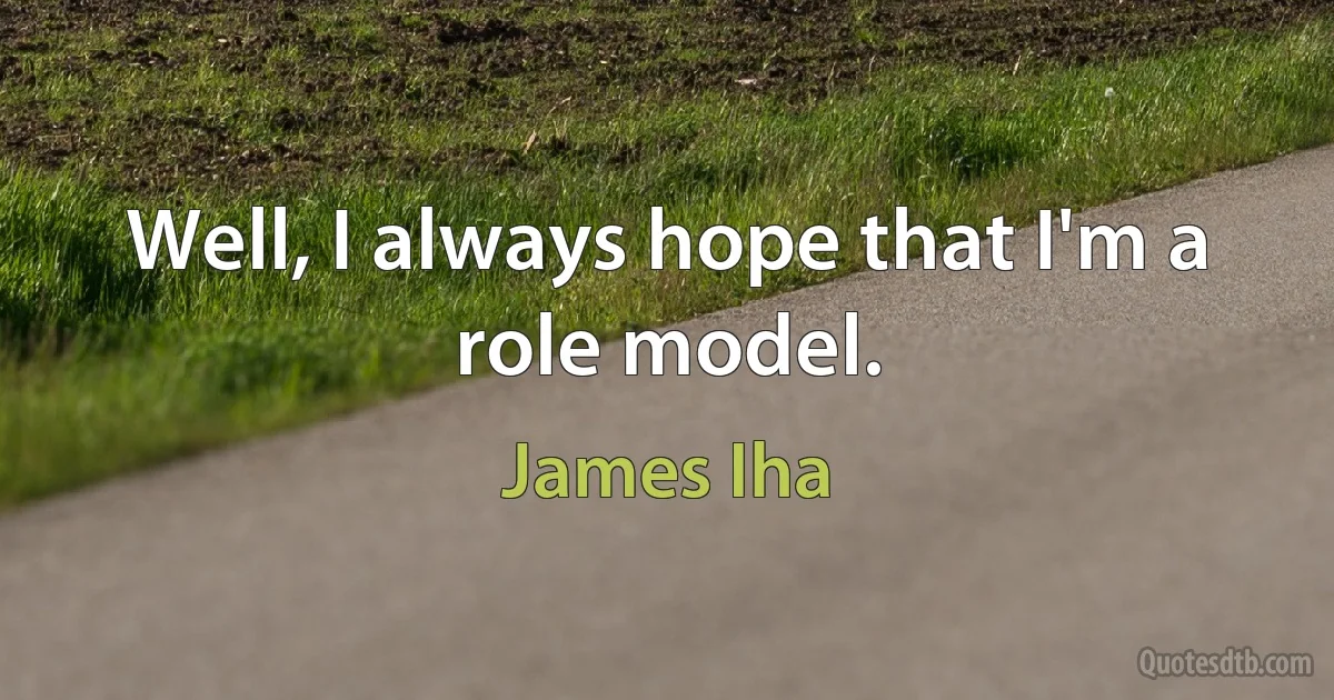 Well, I always hope that I'm a role model. (James Iha)