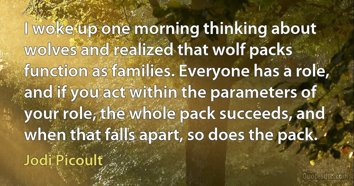 I woke up one morning thinking about wolves and realized that wolf packs function as families. Everyone has a role, and if you act within the parameters of your role, the whole pack succeeds, and when that falls apart, so does the pack. (Jodi Picoult)