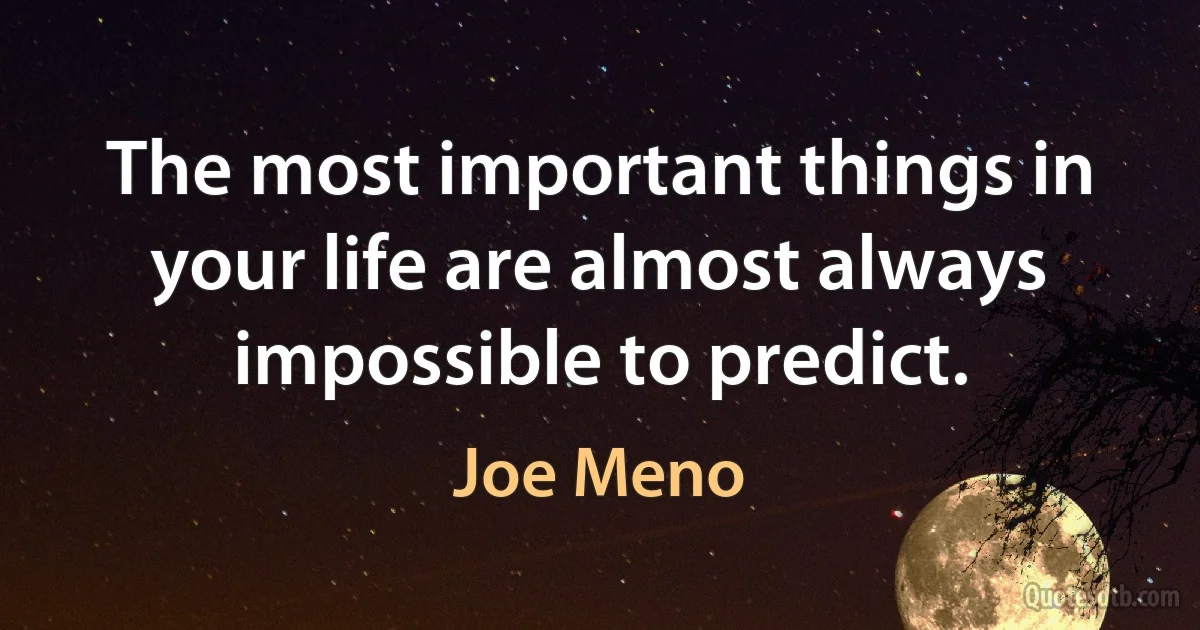 The most important things in your life are almost always impossible to predict. (Joe Meno)