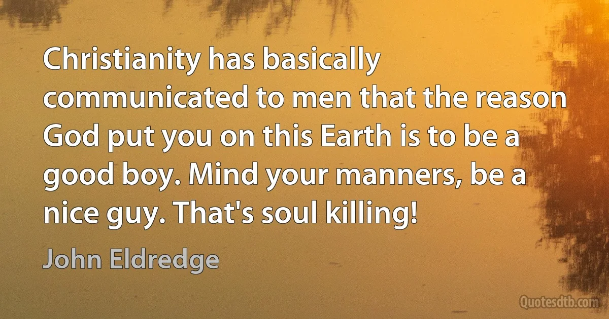 Christianity has basically communicated to men that the reason God put you on this Earth is to be a good boy. Mind your manners, be a nice guy. That's soul killing! (John Eldredge)