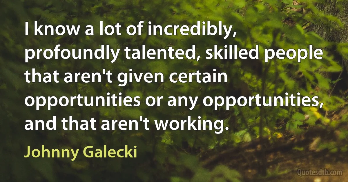 I know a lot of incredibly, profoundly talented, skilled people that aren't given certain opportunities or any opportunities, and that aren't working. (Johnny Galecki)