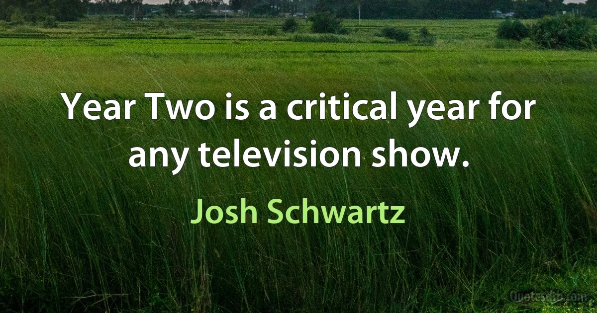 Year Two is a critical year for any television show. (Josh Schwartz)