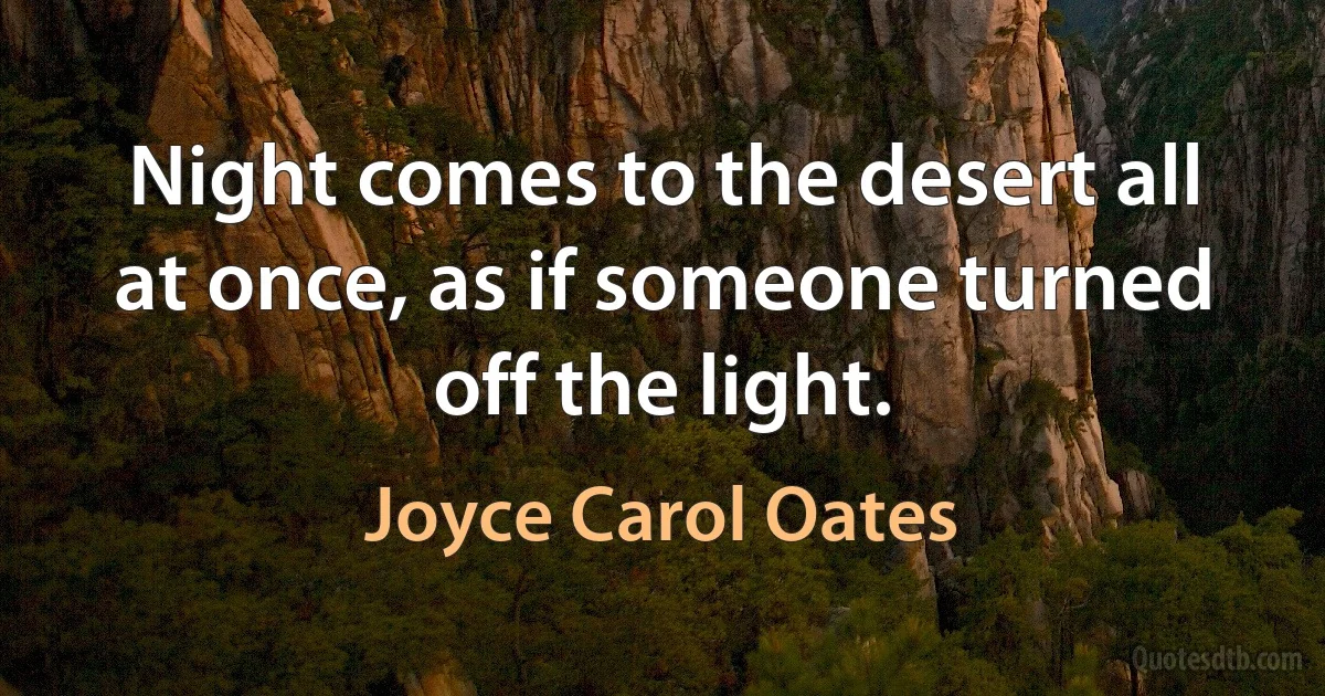 Night comes to the desert all at once, as if someone turned off the light. (Joyce Carol Oates)