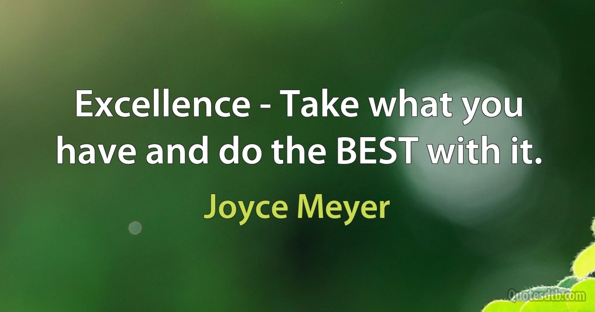 Excellence - Take what you have and do the BEST with it. (Joyce Meyer)