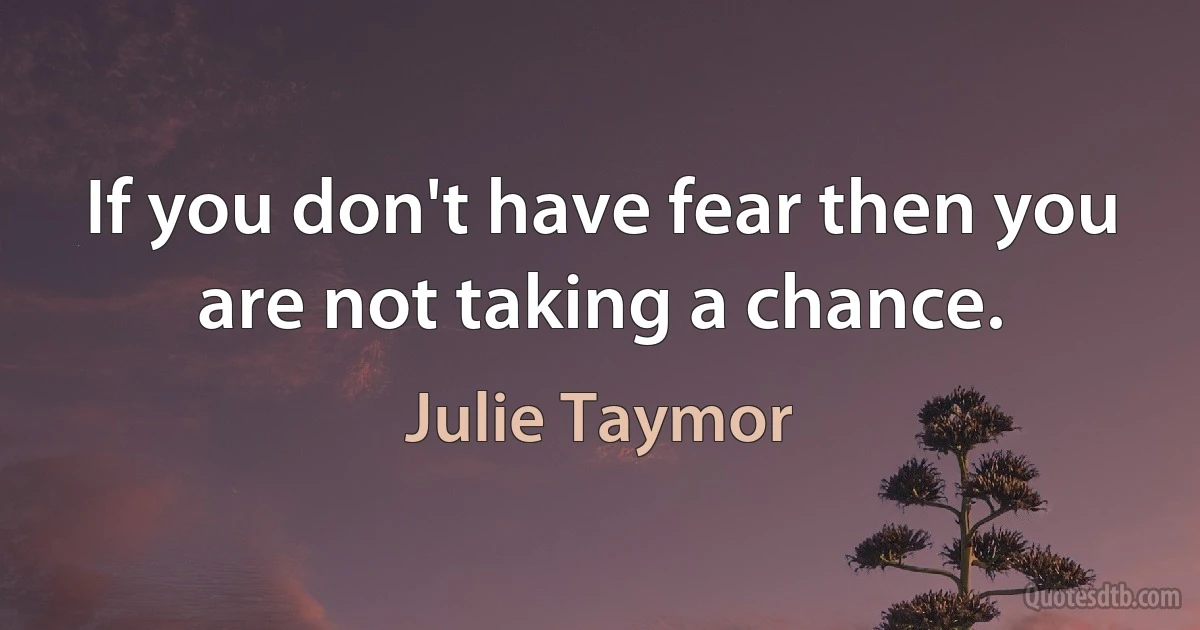 If you don't have fear then you are not taking a chance. (Julie Taymor)