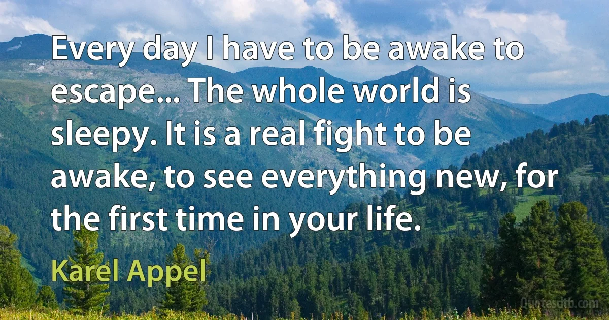 Every day I have to be awake to escape... The whole world is sleepy. It is a real fight to be awake, to see everything new, for the first time in your life. (Karel Appel)