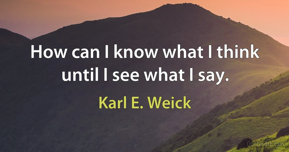 How can I know what I think until I see what I say. (Karl E. Weick)