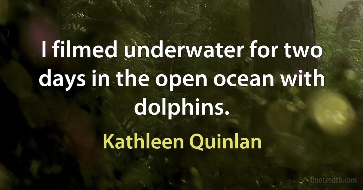 I filmed underwater for two days in the open ocean with dolphins. (Kathleen Quinlan)