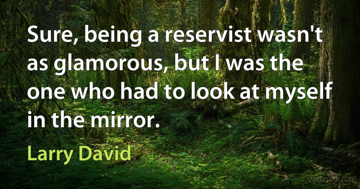 Sure, being a reservist wasn't as glamorous, but I was the one who had to look at myself in the mirror. (Larry David)