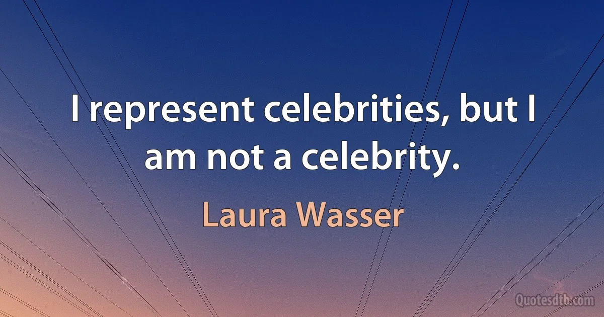 I represent celebrities, but I am not a celebrity. (Laura Wasser)