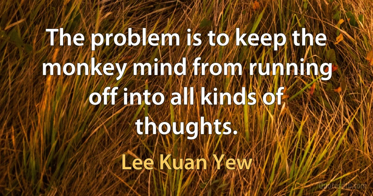 The problem is to keep the monkey mind from running off into all kinds of thoughts. (Lee Kuan Yew)