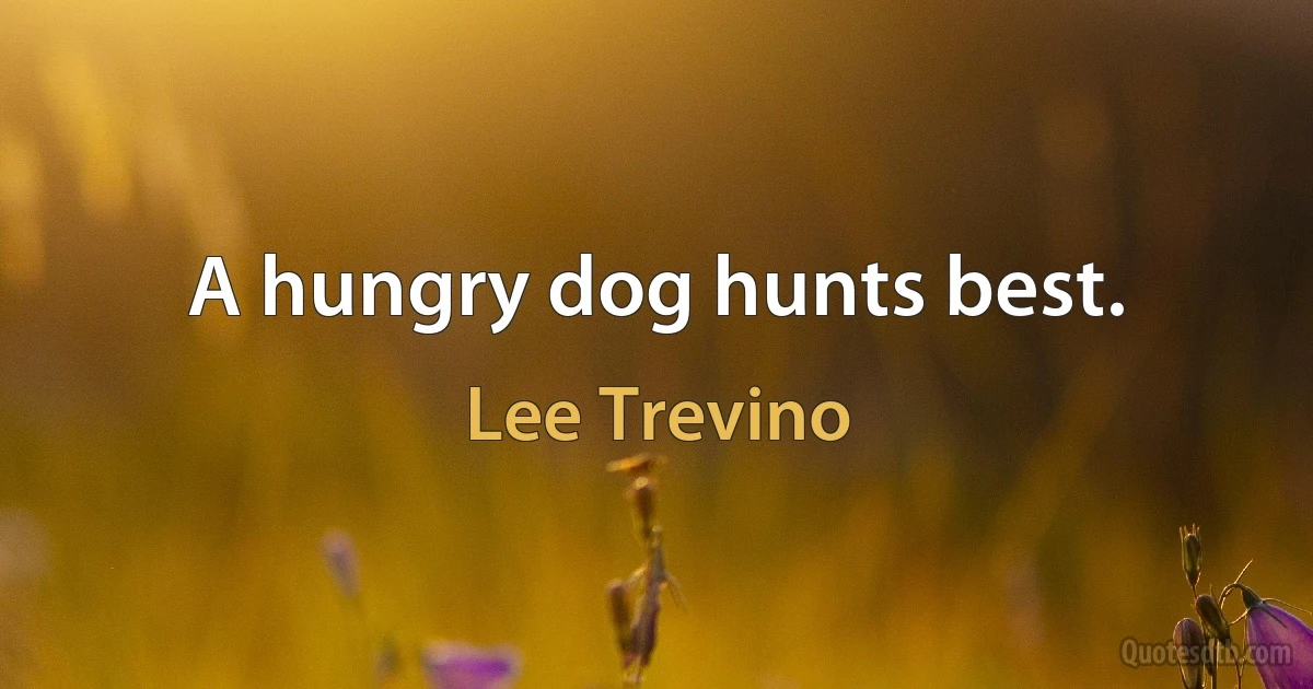 A hungry dog hunts best. (Lee Trevino)