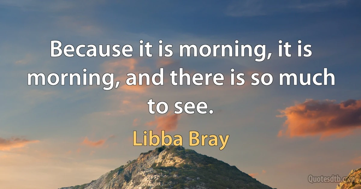 Because it is morning, it is morning, and there is so much to see. (Libba Bray)