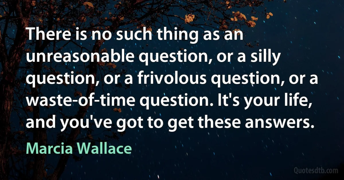 There is no such thing as an unreasonable question, or a silly question, or a frivolous question, or a waste-of-time question. It's your life, and you've got to get these answers. (Marcia Wallace)