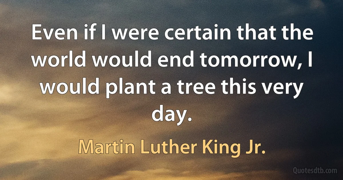 Even if I were certain that the world would end tomorrow, I would plant a tree this very day. (Martin Luther King Jr.)