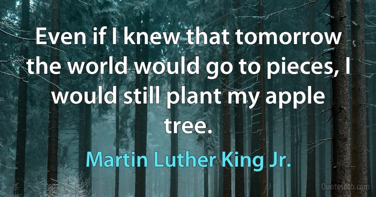 Even if I knew that tomorrow the world would go to pieces, I would still plant my apple tree. (Martin Luther King Jr.)