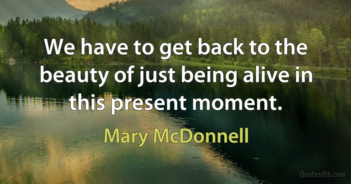 We have to get back to the beauty of just being alive in this present moment. (Mary McDonnell)