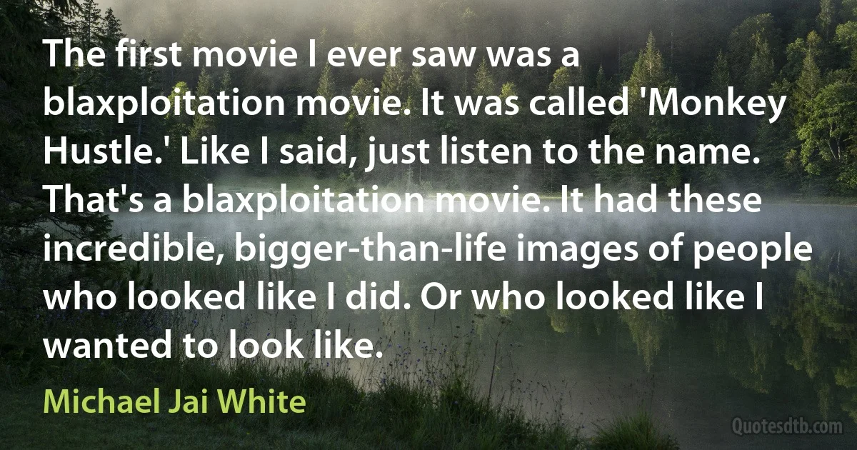 The first movie I ever saw was a blaxploitation movie. It was called 'Monkey Hustle.' Like I said, just listen to the name. That's a blaxploitation movie. It had these incredible, bigger-than-life images of people who looked like I did. Or who looked like I wanted to look like. (Michael Jai White)