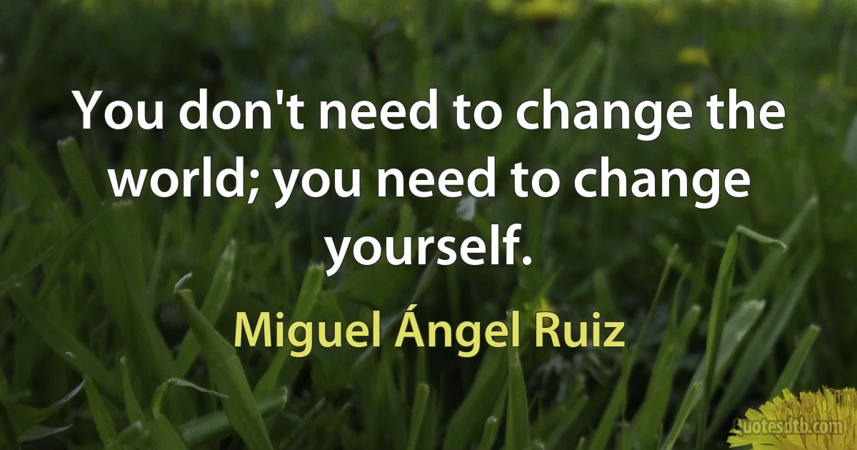 You don't need to change the world; you need to change yourself. (Miguel Ángel Ruiz)