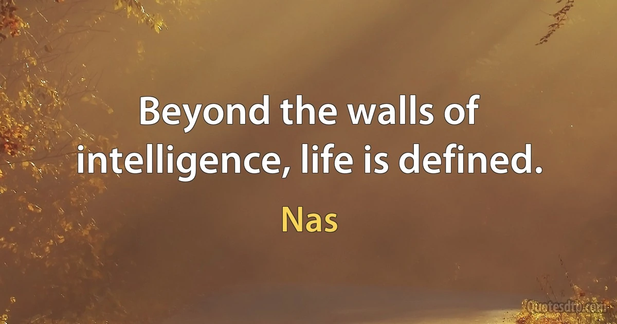 Beyond the walls of intelligence, life is defined. (Nas)