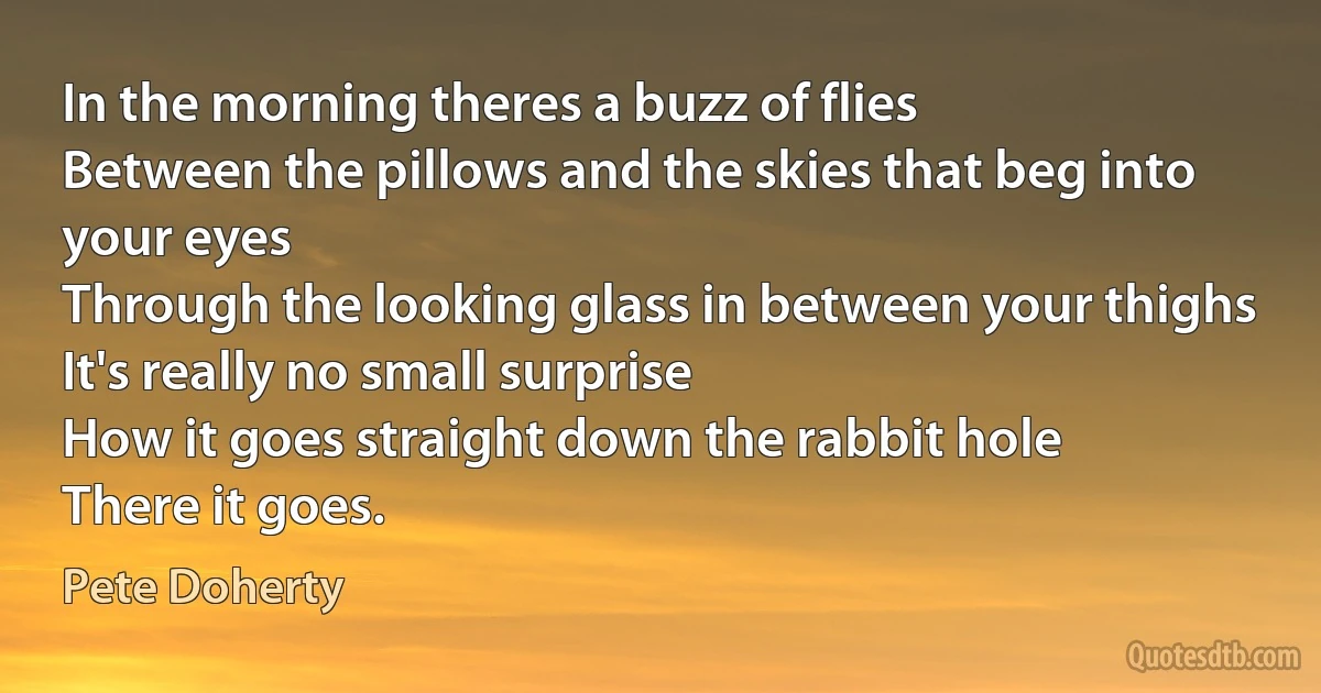 In the morning theres a buzz of flies
Between the pillows and the skies that beg into your eyes
Through the looking glass in between your thighs
It's really no small surprise
How it goes straight down the rabbit hole
There it goes. (Pete Doherty)