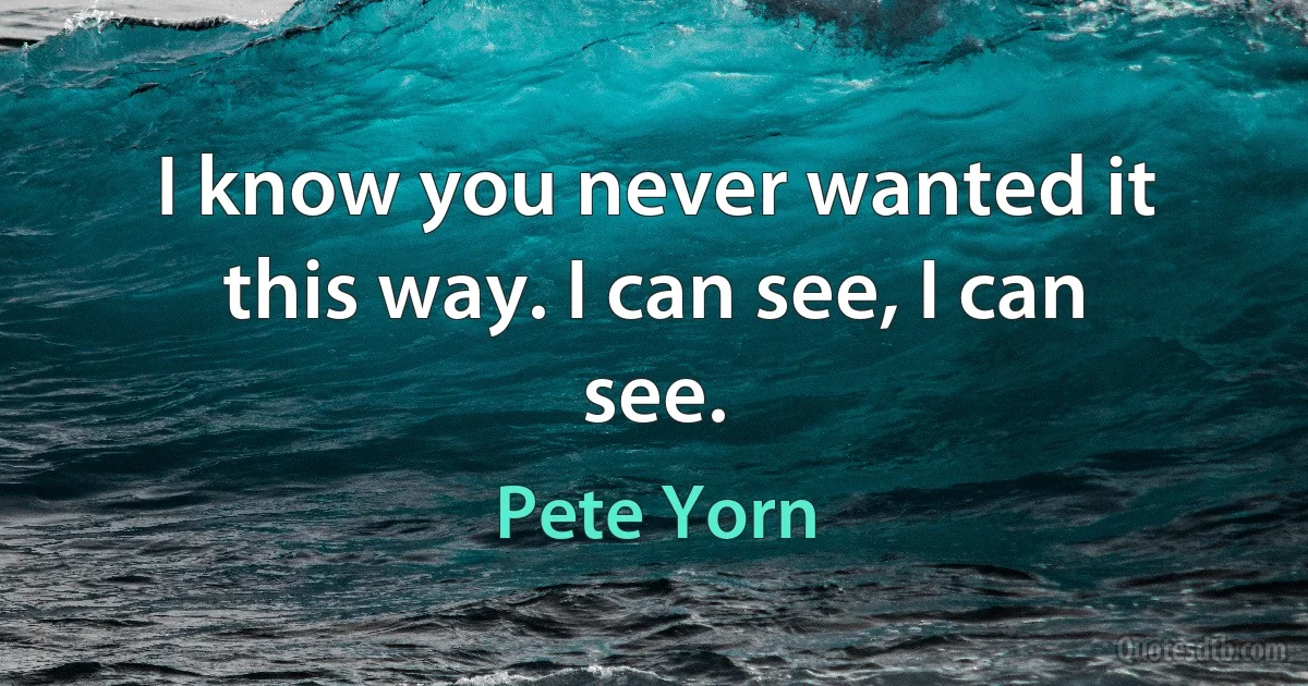 I know you never wanted it this way. I can see, I can see. (Pete Yorn)