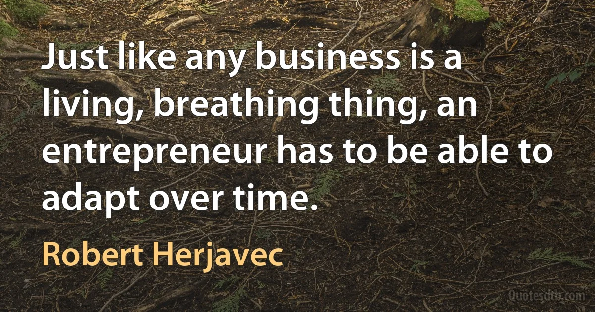 Just like any business is a living, breathing thing, an entrepreneur has to be able to adapt over time. (Robert Herjavec)