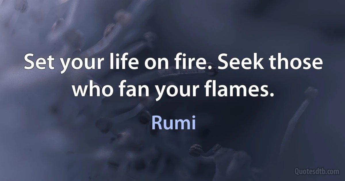 Set your life on fire. Seek those who fan your flames. (Rumi)