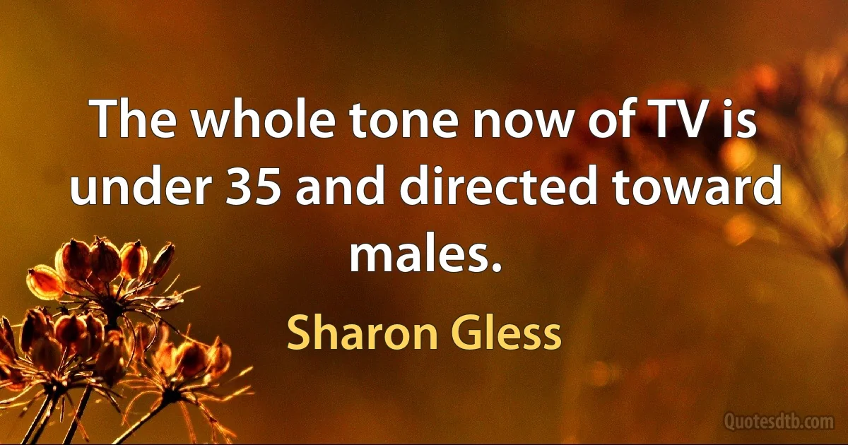 The whole tone now of TV is under 35 and directed toward males. (Sharon Gless)