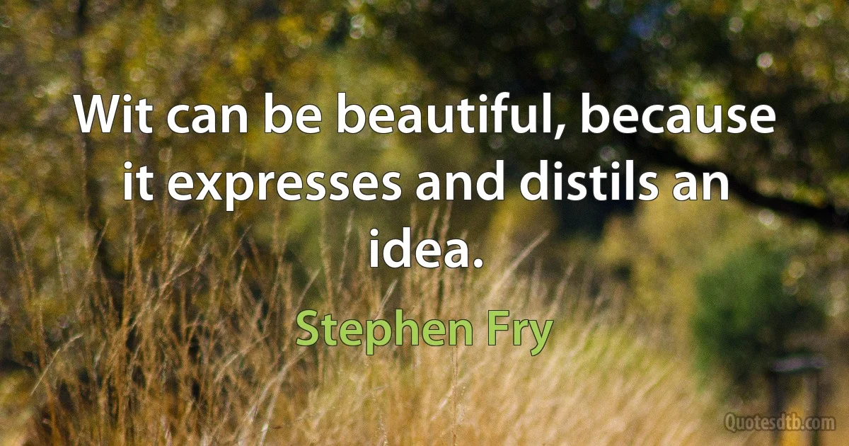 Wit can be beautiful, because it expresses and distils an idea. (Stephen Fry)